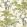 Harewood Wallpaper by 1838 Wallcoverings Lime Green