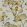 Kienze Wallpaper by Harlequin Ochre / Steel