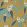 Coppice Wallpaper by Harlequin Navy/Lagoon/Gold