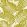 Mala Wallpaper by Harlequin Citrus