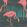 Salinas Wallpaper by Harlequin Ebony/Coral/Lagoon