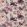 Flores Fabric by Harlequin Damson/Viola/Blush