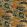 Hartfield Velvet Fabric by Osborne & Little Ochre