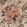 Hedgerow Wallpaper by 1838 Wallcoverings Copper