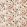 Helianthus Fabric by Harlequin Moonstone / Succulent / Bleached Coral