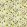 Helianthus Fabric by Harlequin Sunflower / Grass / Awakening