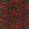 Helianthus Velvet Fabric by Harlequin Vermillion / Harrisa / Fig Leaf