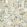 Herbarium Wallpaper by Borastapeter Leaf