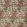Hidcote Fabric by Thibaut Beige and Coral
