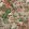 Hidcote Wallpaper by Thibaut Beige and Coral