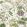 Hill Garden Fabric by Thibaut White and Green