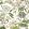 Hill Garden Wallpaper by Thibaut White and Green