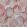 Honesty Wallpaper by 1838 Wallcoverings Shell