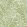 Honeysuckle Wallpaper by Cole & Son Spring Green