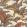 Hoopoe Leaves Wallpaper by Cole & Son Crimson Canary Yellow & Fuchsia on Stone
