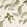 Hosta & Fern Fabric by Sanderson Olivine