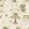 Hundred Acre Wood Wallpaper by Sanderson Cashew