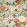 Hydrangea & Rose Fabric by Sanderson Chintz