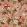 Hykenham Wallpaper by Sanderson French Rose