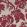 Wildflower Fabric by Ian Mankin Red