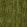 Icaria Fabric by Sanderson Olive