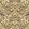 Ikebana Damask Fabric by Designers Guild Coral