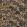 Inara Wallpaper by Casamance Noir/Dore