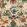 Incantation Wallpaper by MINDTHEGAP Taupe Green