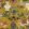 Incantation Wallpaper by MINDTHEGAP Yellow