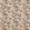 Indienne Flower Fabric by GP & J Baker Emerald / Red