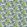 Ipanema Fabric by Thibaut Bermuda and Kiwi