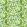 Isolotto Fabric by Designers Guild Grass