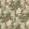 Italian Garden Fabric by Zoffany Tuscan Pink