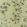 Jacaranda Wallpaper by Designers Guild Gold