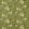Jaipur Fabric by Zoffany Deep Moss