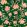 Jaleo Wallpaper by Tres Tintas Green