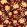 Jaleo Wallpaper by Tres Tintas Mazarine