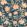 Jaleo Wallpaper by Tres Tintas Turquoise