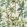 Japura Outdoor Fabric by Romo Amazon