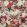 Botanique Fabric by Jean Paul Gaultier Laque