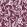 Jamaique Wallpaper by Jean Paul Gaultier Fuchsia