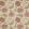 Jessamine Fabric by Colefax and Fowler Red/Green