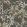 Jungle Friends Wallpaper by Borastapeter Cedar