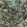 Jungle Life Wallpaper by Brand McKenzie Aquamarine & Coral