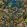 Jungle Life Wallpaper by Brand McKenzie Orange & Blue