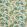 Kailani Fabric by Prestigious Textiles Tiger Lily