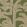 Kailua Wallpaper by Arte Moss