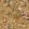 Kalamkari Wallpaper by Coordonne Curry