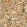Kalamkari Wallpaper by Coordonne Stone