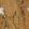 Kanoko Cork Wallpaper by Osborne & Little Wood Ash